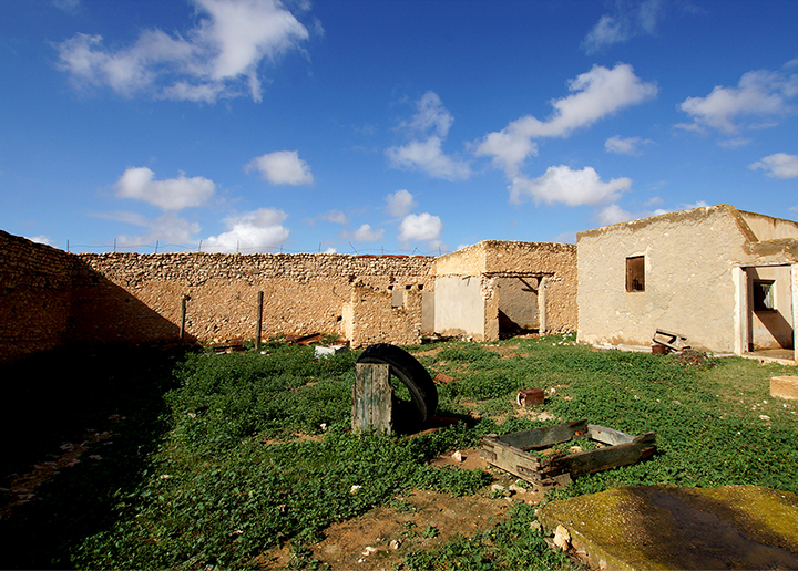 Sfax, oliveraie, rénovation